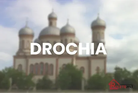 ROLETE DROCHIA